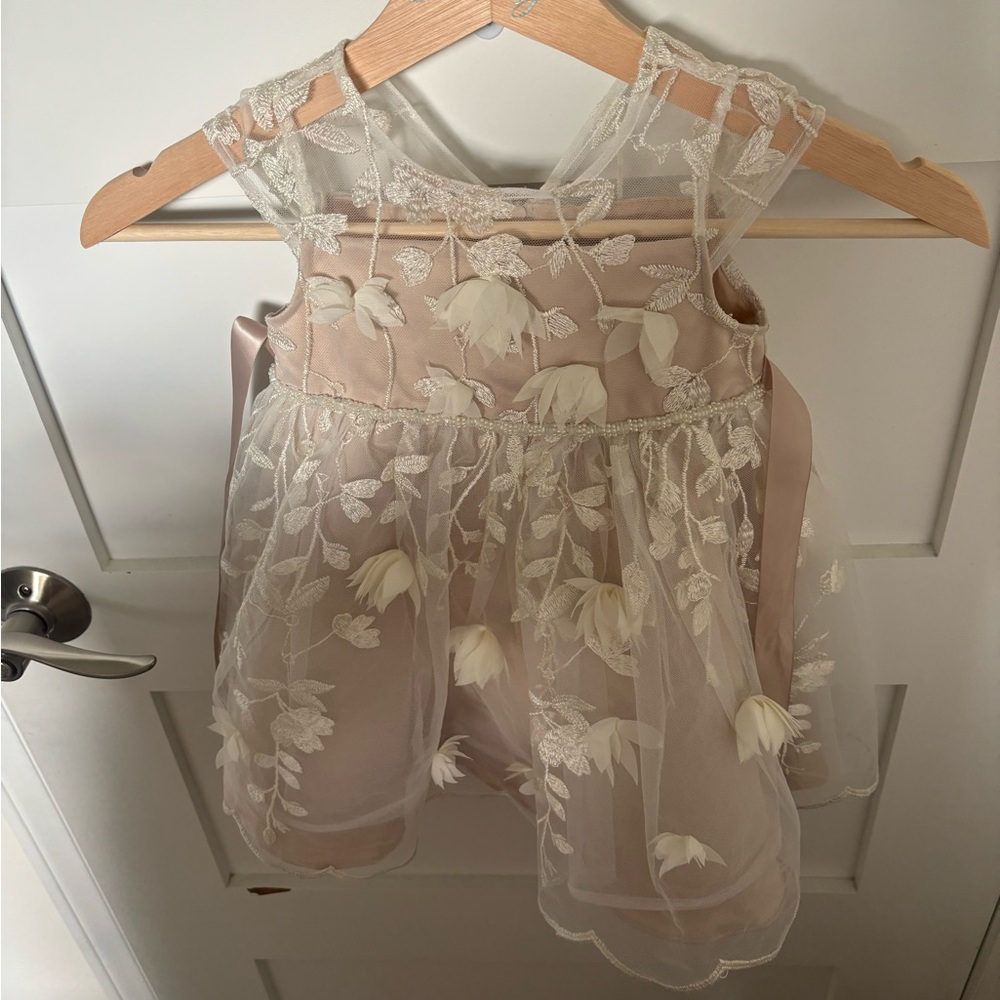 Chantilly Place
Baby Girls Illusion 3D-Floral Embroidered Fit-And-Flare Dress